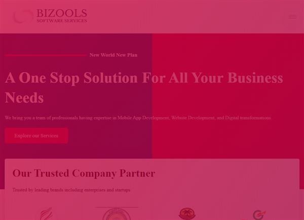 Bizools Software Services